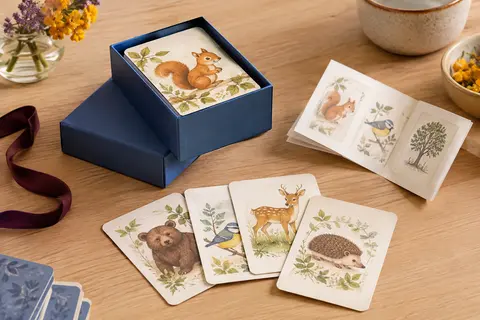 Boîte bleue de jeu de cartes pour enfants accompagnée de cartes et de la règle sur une table en bois clair.