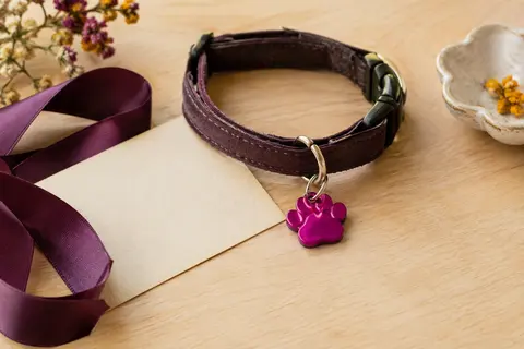 Médaille fuchsia en forme de patte avec deux anneaux, posée sur un collier sur fond de bois clair.